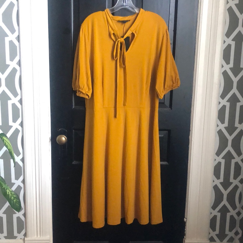 NWT Eloquii Dress